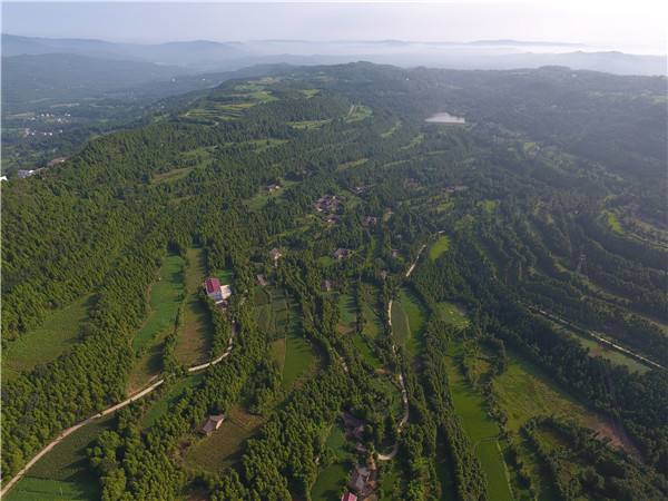 ɭ�ַ�����đ�(y��ng)��