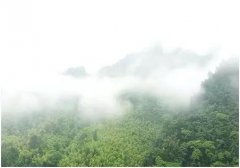 ���M(j��n)��ɽ�����I(y��)�y(c��)���T��15��̤��y(c��)�^(q��)�������y�P(gu��n)