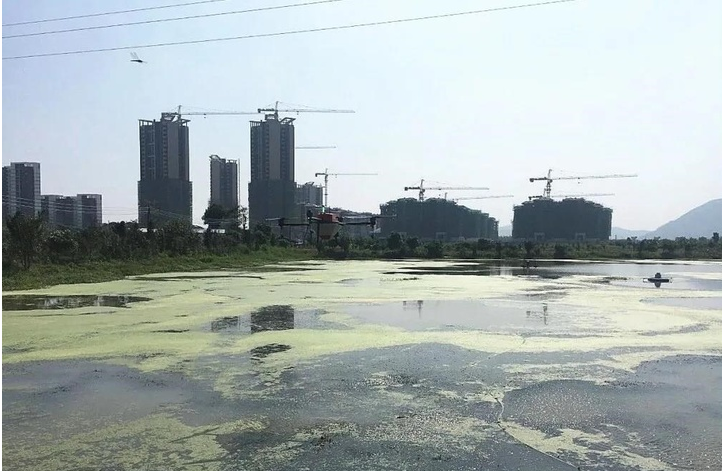 С���r�B(y��ng)ֳ��(ch��ng)